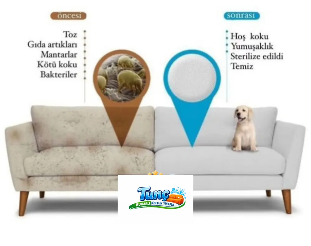 Koltuk hijyeni ve koku giderme